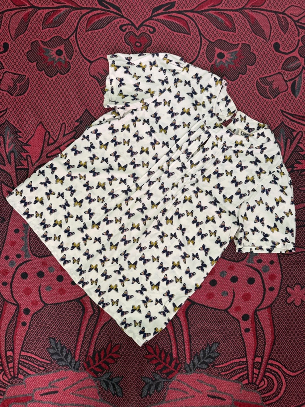 Women’s White Butterfly Print Short Sleeve Top